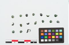 Foto von Bronzeknopf (NHMW-PRAE-024902)